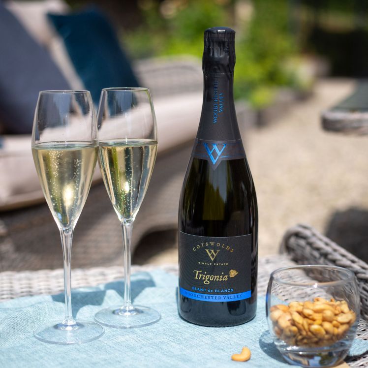 Trigonia Blanc de Blanc