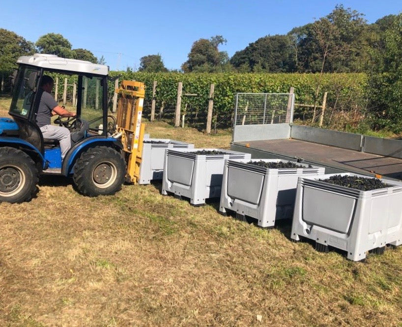 2019 Harvest News Letter