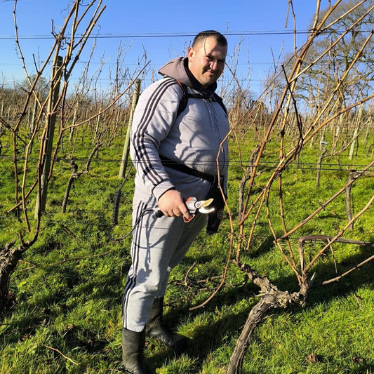 Janus &amp; Pruning