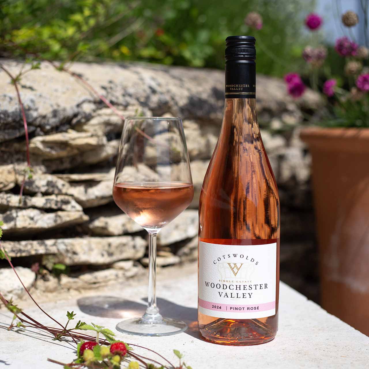 Pinot Rose 2025